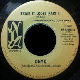 Onyx_Break_It_Loose-NIA_730102A
