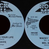Mel_Davis-Let_Love_In_Your_Life-Rock_Mill_5238