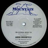 Aaron_Broomfield_Mountain_91281A