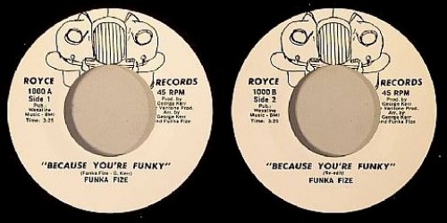 Funka_Fize_Because_You_re_Funky_Royce_1000
