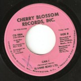 Elvans_Road_Ltd_Cherry_Blossom_CB-1004