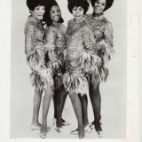 046_Shirelles