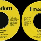 Freedom_Cant-You_See_Freedom_1000