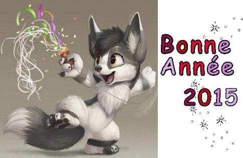 Bonnee annee 2015