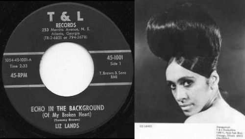 Liz Lands