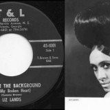 Liz_Lands