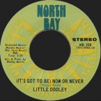 Little-Dooley_its-got-to-be-now-or-never_North-Bay