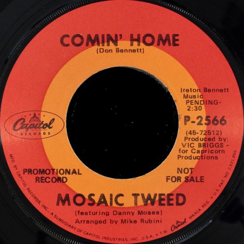 mosaic tweed comin home capitol 2566B