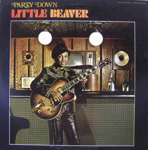 164605 little beaver Party down cover