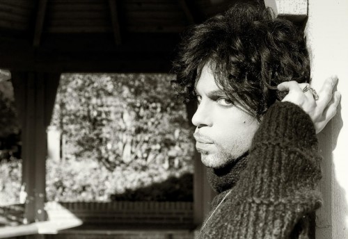 Prince-by-Steve-Parke18.jpg