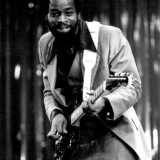 Teddy_Royal_1980