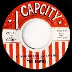 Fawns_Nothing_Capcity_105