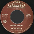 We_The_People_Break_Down_Davel1001A