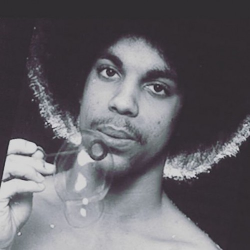 PRINCE1958-2016byRobertWhitman03.jpg
