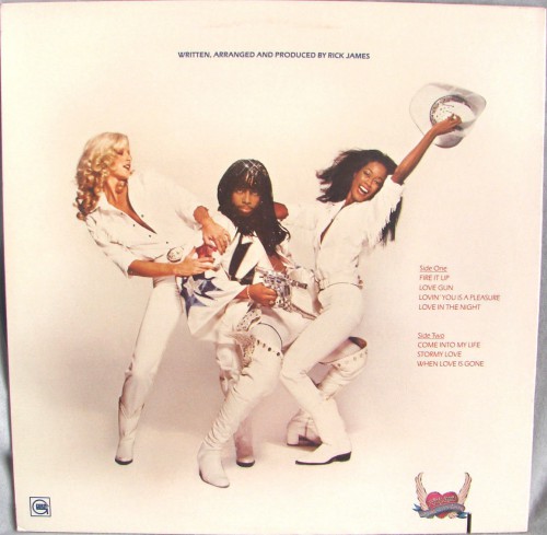 RickJames_1979_FireItUpGordyG8-990M1back.jpg