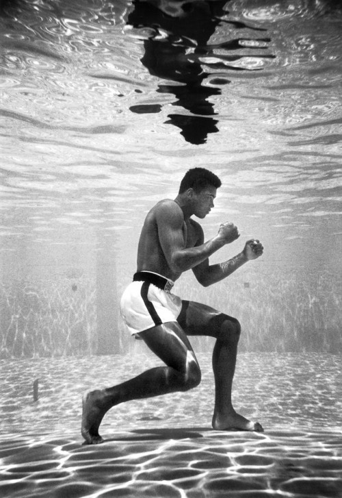 MuhammadAliCassiusClay-traininginapooltheSirJohnHotelinMiami1961.FlipSchulke03.jpg