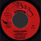A_Different_Bag-1001B