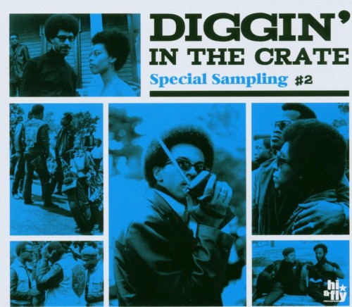 LIBRARY-DigginInTheCrateSpecialSampling_2006_Vol.2HiFlyHF0013.jpg