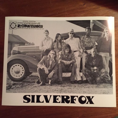 Silverfox.jpg