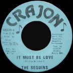 Sequins-It_Must_Be_Love-Crajon_48209