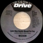 Wizdom-Drive-6287
