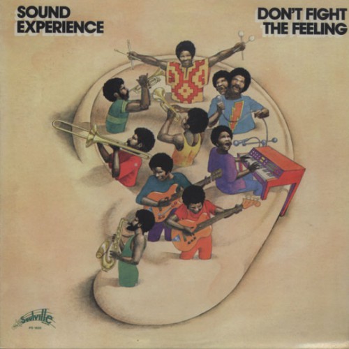 780967SoundExperience1974DontFightTheFeelingPhillySoulvillePS16502.jpg