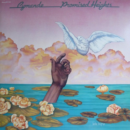Cymande_1974_Promised-Heights-Janus-JXS-7004.jpg