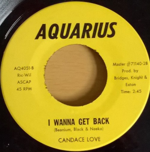 Candace-Love_I-Want-To-Get-Back.jpg