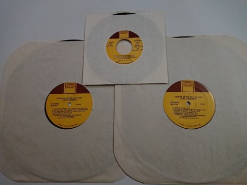 Stevie-Wonder_1976_Songs-In-The-Key-Of-Life-Tamla-T13-340C22.jpg