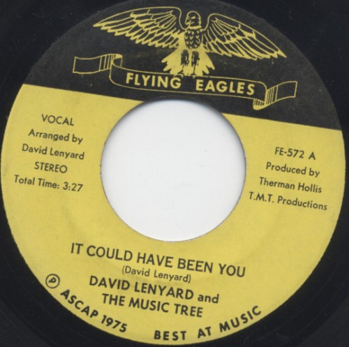 David_Lenyard_-_It_Could_Have_Been_You.jpg
