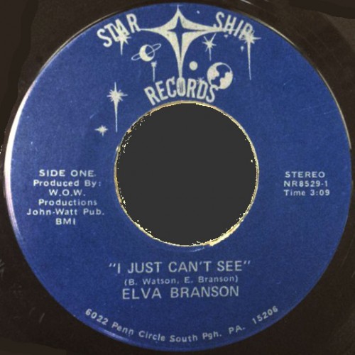 Elva-Branson_I-Just-Can-t-See.jpg