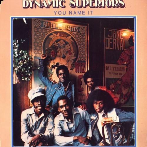 Dynamic-Superiors_1976_-Name-It-Motown-M6-875S1.jpg