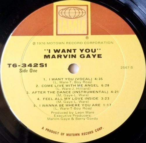 Marvin-Gaye_1976_I-Want-You-Tamla-T6-342S1-FACEA.jpg